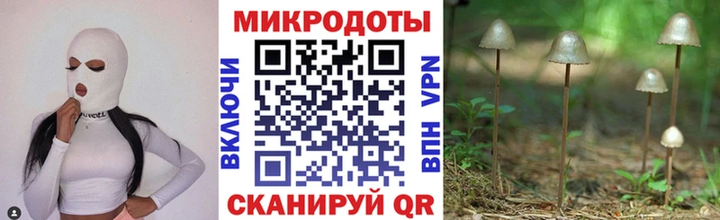 Галлюциногенные грибы Cubensis  OMG сайт  Белогорск 