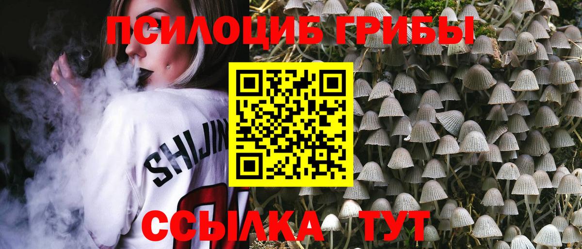 Галлюциногенные грибы Psilocybe  Белогорск 