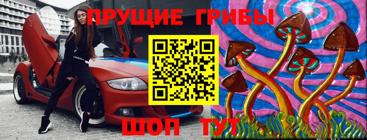 Галлюциногенные грибы Psilocybe Белогорск