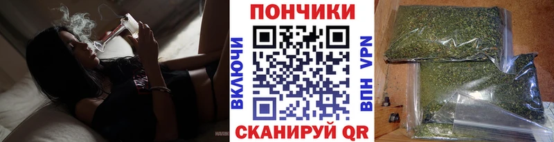 Каннабис OG Kush  Белогорск 
